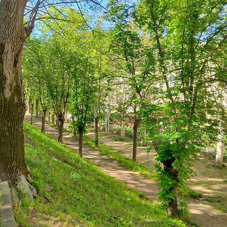 Appartement A Beholding Sight Amelie-les-Bains-Palalda Luaran gambar